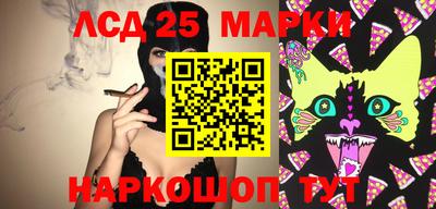 бошки Гатчина