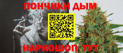 бошки Гатчина