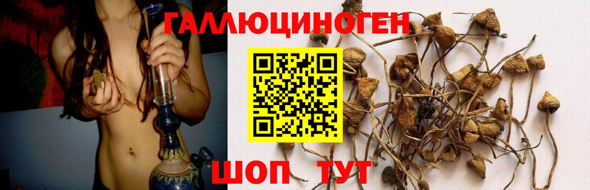 Галлюциногенные грибы мухоморы Муром