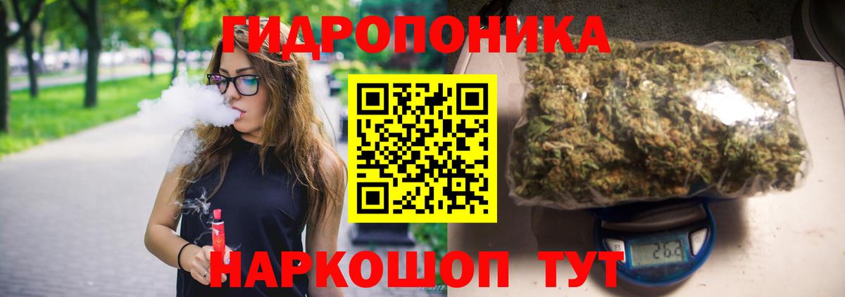 МАРИХУАНА конопля Муром